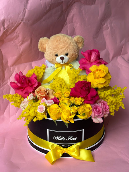 MILLION BOX - TEDDY