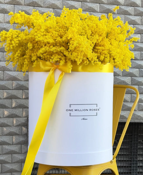 8 MARZO COLLECTION -ONE BILLION BOX - FESTA DELLA DONNA MIX - SCATOLA BIANCA