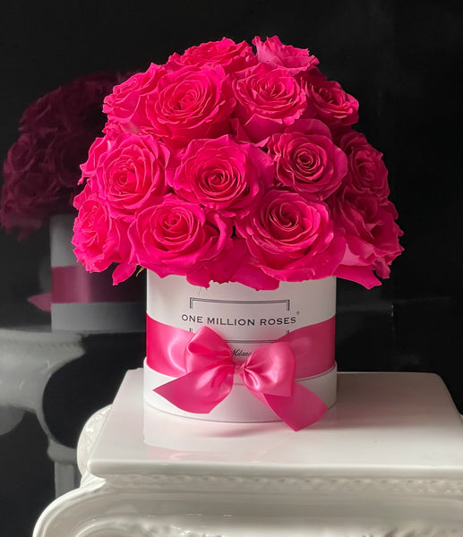 CLASSIC COLLECTION - SMALL - ROSE ROSA - GRANDE SFERA - SCATOLA Bianca