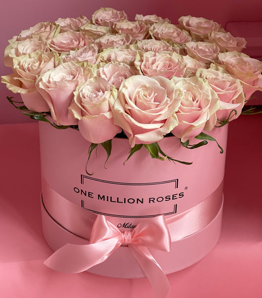 Classic Collection - Medium - Rose Rosa - Scatola Rosa