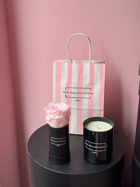CANDELA + ROSA ROSA