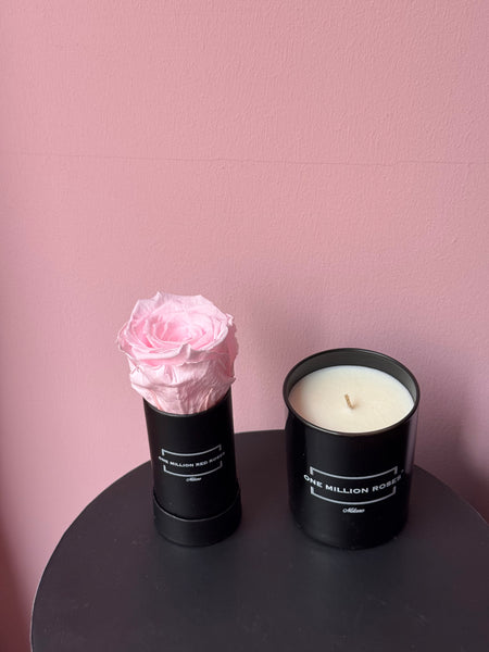 CANDELA + ROSA ROSA