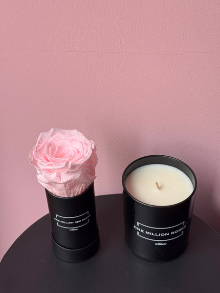 CANDELA + ROSA ROSA