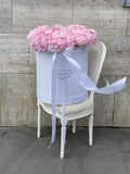 Classic Collection - Billion Box - Peonia Rosa - Scatola Nera