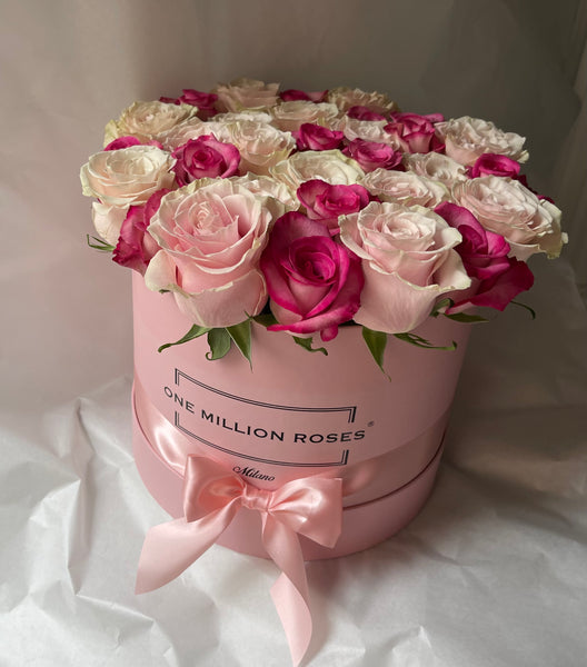 Classic Collection - Medium -  Rose rosa chiaro e fucsia a scacchi - Scatola Rosa