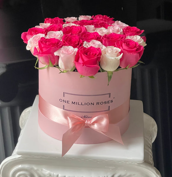Classic Collection - Medium - Rose Mix Rosa - Scatola Rosa