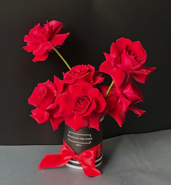 CLASSIC COLLECTION - MINI - ROSE ROSSE - SCATOLA NERA