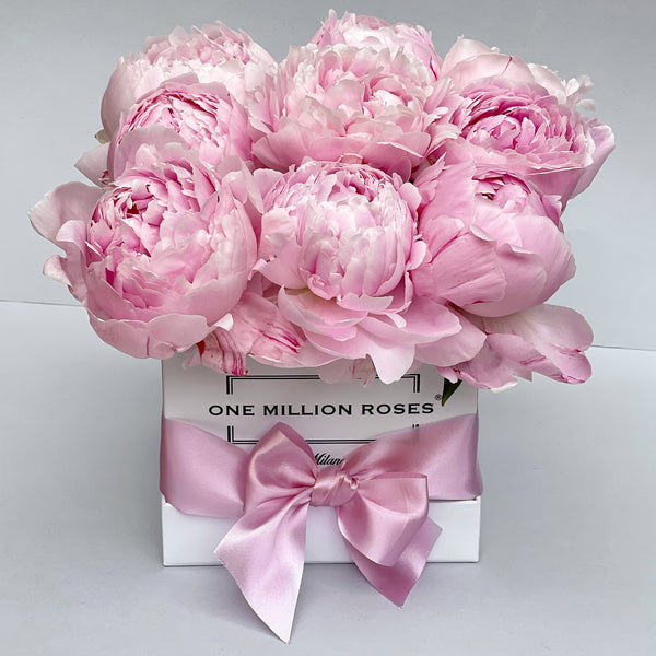 Classic Collection - Cube - Rose Peonie - Scatola Bianca