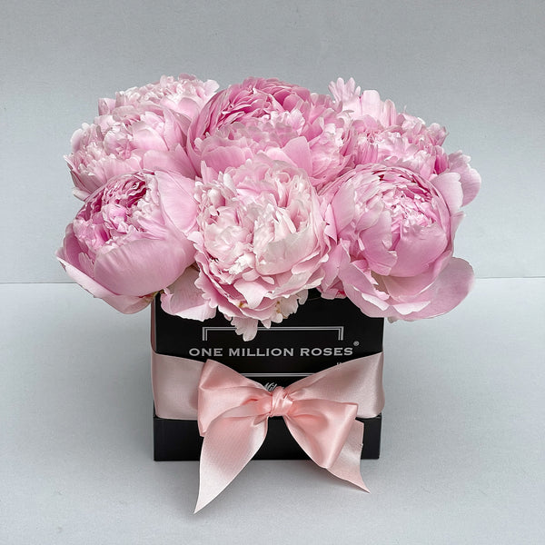 Classic Collection - Cube - Rose Peonie - Scatola Nera