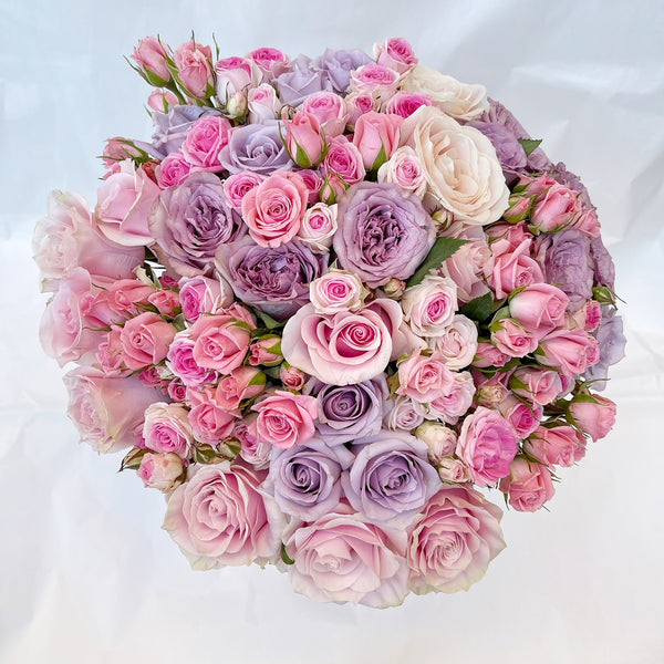 Classic Collection - Medium - Rose Mix Rosa e Lilla - Scatola Bianca