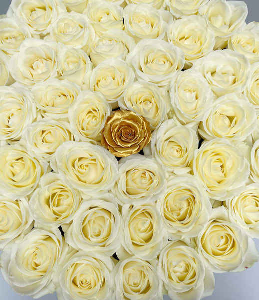 Classic Collection - One Million - Rosa Bianca e Oro - Scatola Bianca