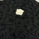 Senza Tempo - One Million Box - Rose Nere e Bianca- Scatola Nera