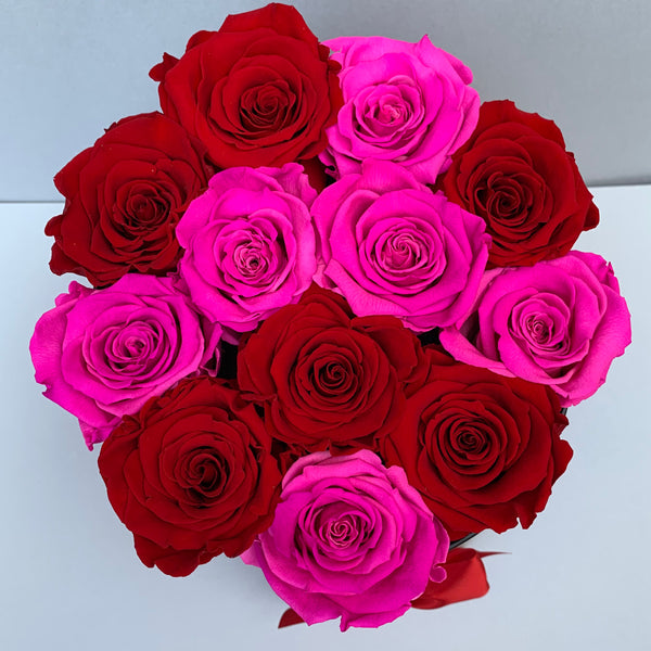 Senza Tempo - Small - Rose Rosse e Fucsia - Scatola Nera