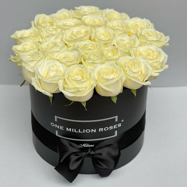 Classic Collection - Medium - Rose Bianche - Scatola Nera