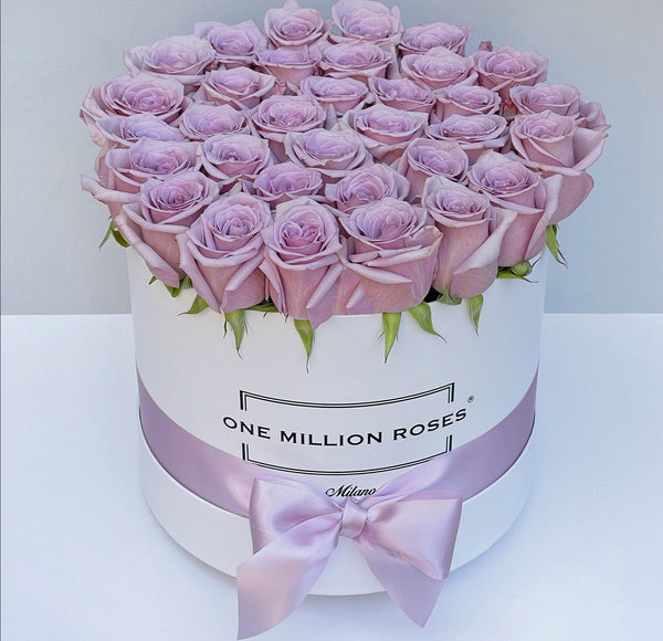 Classic Collection - Medium - Rose Lilla - Scatola Bianca