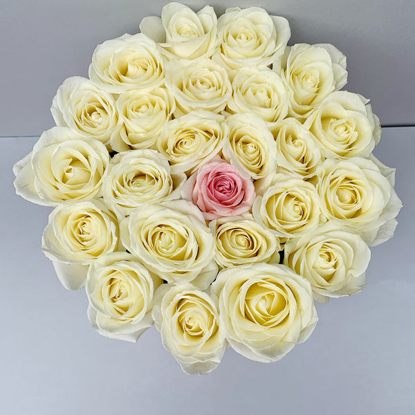 Classic Collection - Medium Box - Rose Rosa e Bianche - Scatola Rosa