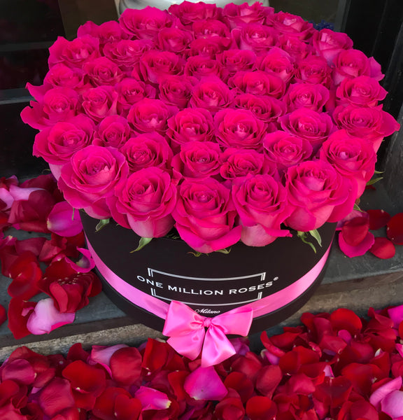 Classic Collection - One Million - Rosa Fucsia - Scatola Nera
