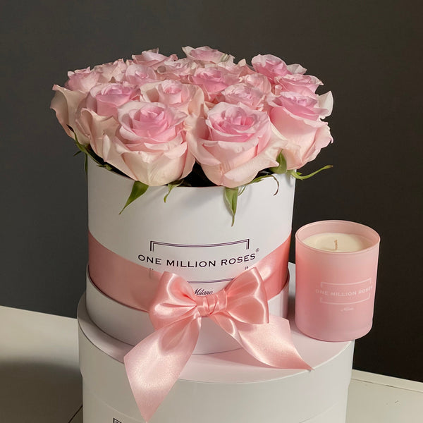 Classic Collection - Small - Rose Rosa - Scatola Bianca