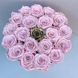 Senza Tempo - Medium Box - Rose Rosa e Oro - Scatola Rosa