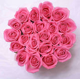 Classic Collection - Small - Rose Rosa - Scatola Rosa