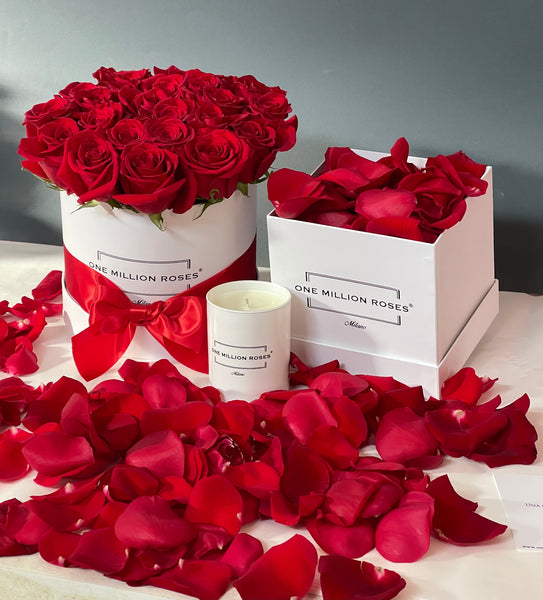 SNOW WHITE - SMALL BOX BIANCO - ROSE ROSSE - CUBE BOX PETALI ROSSE - CANDELA BIANCO