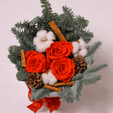 Christmas Collection - Senza Tempo - Small Box - Mix Natale - Scatola Bianca