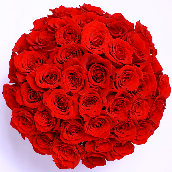 Classic Collection - Medium - Rose Rosse Sfera- Scatola Bianca