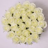 Classic Collection - Medium - Rose Bianche - Scatola Bianca