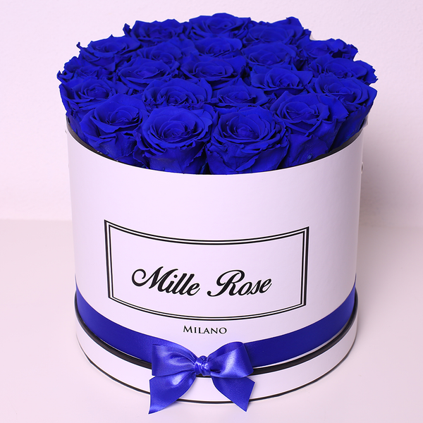 Senza Tempo - Medio - Rose Blu - Scatola Bianca