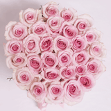 Classic Collection - Medium - Rose Rosa Cipria  - Scatola Bianca