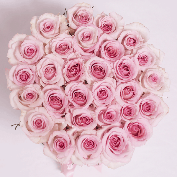 Classic Collection - Medium - Rose Rosa Cipria  - Scatola Bianca