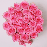 Classic Collection - Medium - Rose Rosa - Scatola Nera