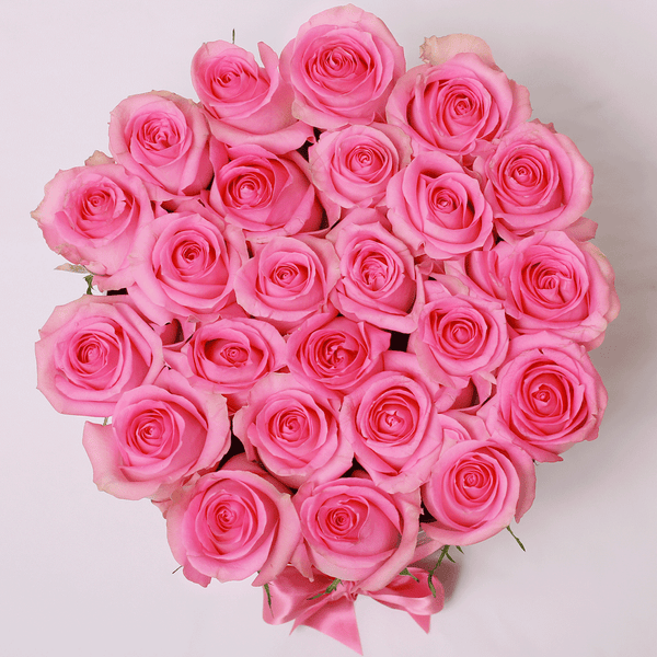 Classic Collection - Medium - Rose Rosa - Scatola Nera