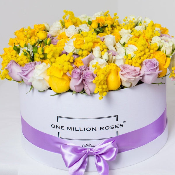 8 March Collection - One Million Box - Rose Bianco Giallo Lilla Mimose - Scatola Bianca