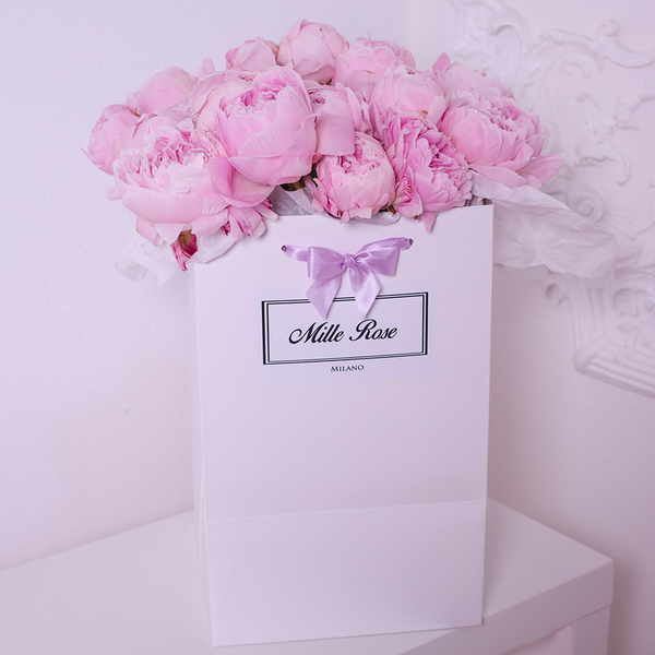 Shopping Bag