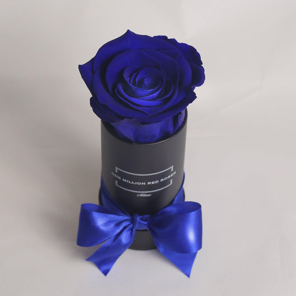 Senza Tempo - Baby - Rosa Blu - Scatola Nera