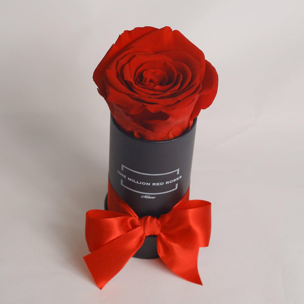 Senza Tempo - Baby - Rosa Rossa - Scatola Nera