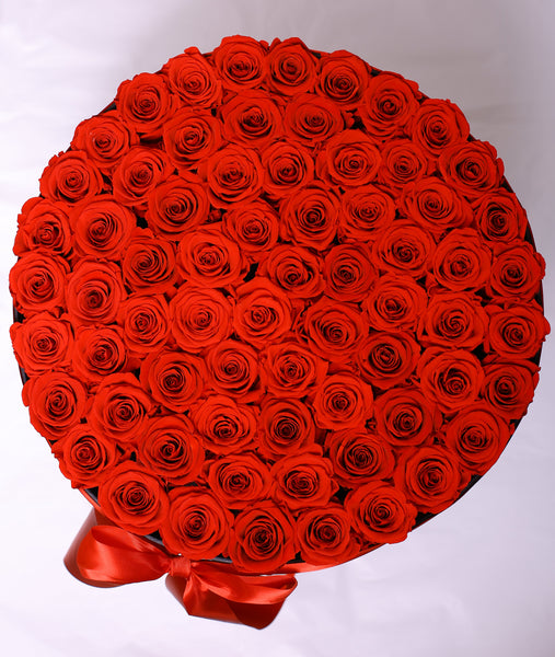 Senza Tempo - Billion Box - Rose Rosse - Scatola Nera