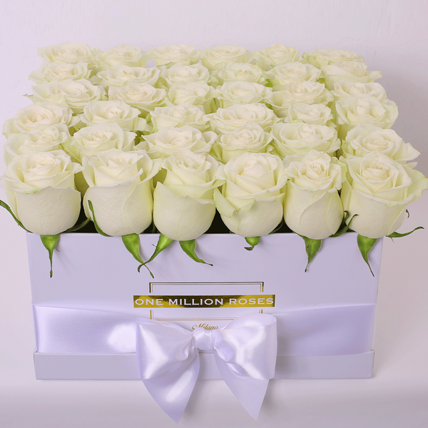 Classic Collection - Square Box - Rose Bianche - Scatola Bianca