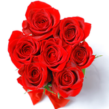 Classic Collection - Mini - Rose Rosse - Scatola Nera