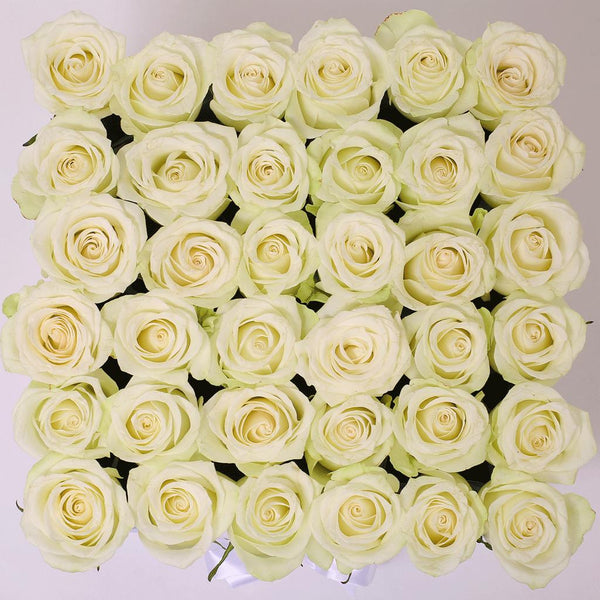 Classic Collection - Square Box - Rose Bianche - Scatola Nera