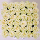 Classic Collection - Square Box - Rose Bianche - Scatola Bianca