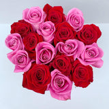 Classic Collection - Small - Rose Rosa e Rosse Scacchi - Scatola Nera