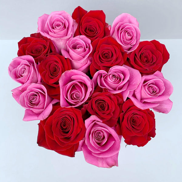 Classic Collection - Small - Rose Rosa e Rosse Scacchi - Scatola Nera