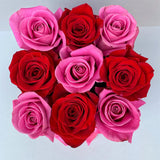 Classic Collection - Cube - Rose Rosa e Rosse  - Scatola Nera